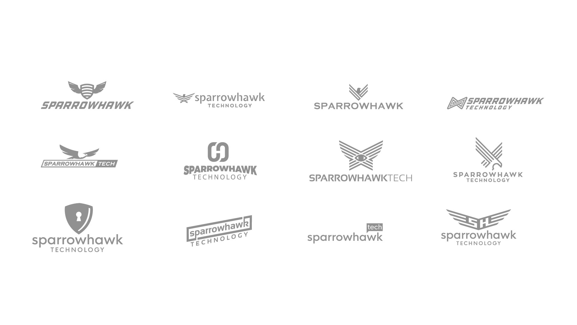 sparrowhawk case study1-04